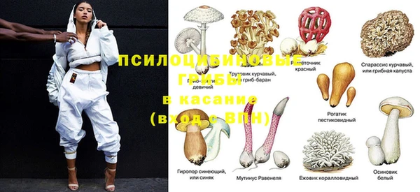 Альфа ПВП Богородицк